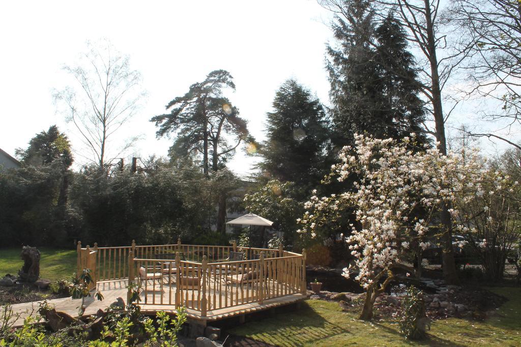 Meadfoot Guesthouse Room Only Accommodation For Adults Windermere Værelse billede